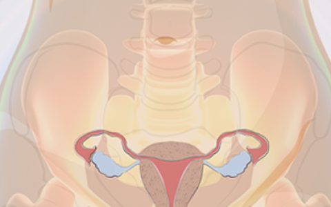 Recent Advances in Urogynaecology, Pelvic floor, Disorders & the Ureter